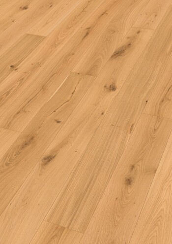 Meister PD 400 Дуб Аутентичный 9011