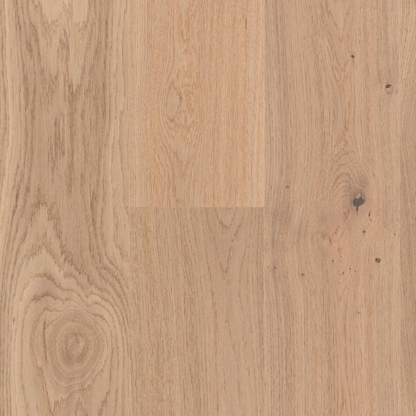 BerryAlloc Дуб Essentiels Nature Authentique