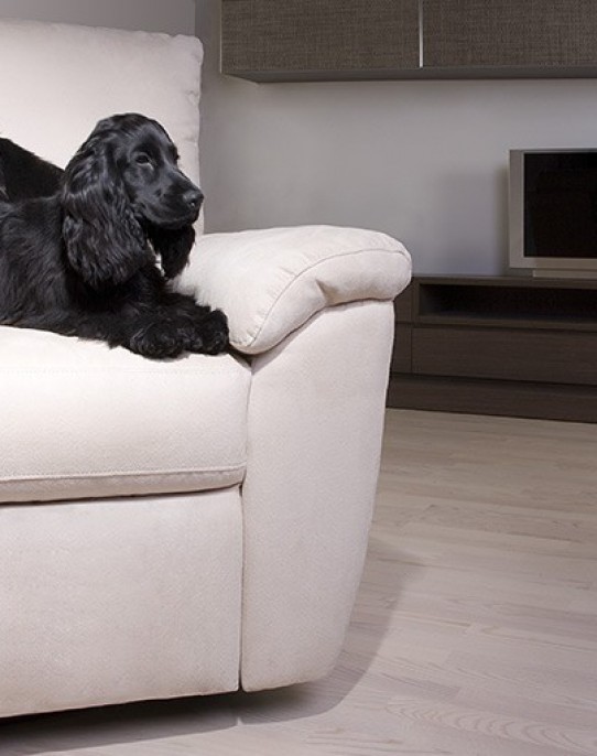 Паркетная доска Ясень Арктик