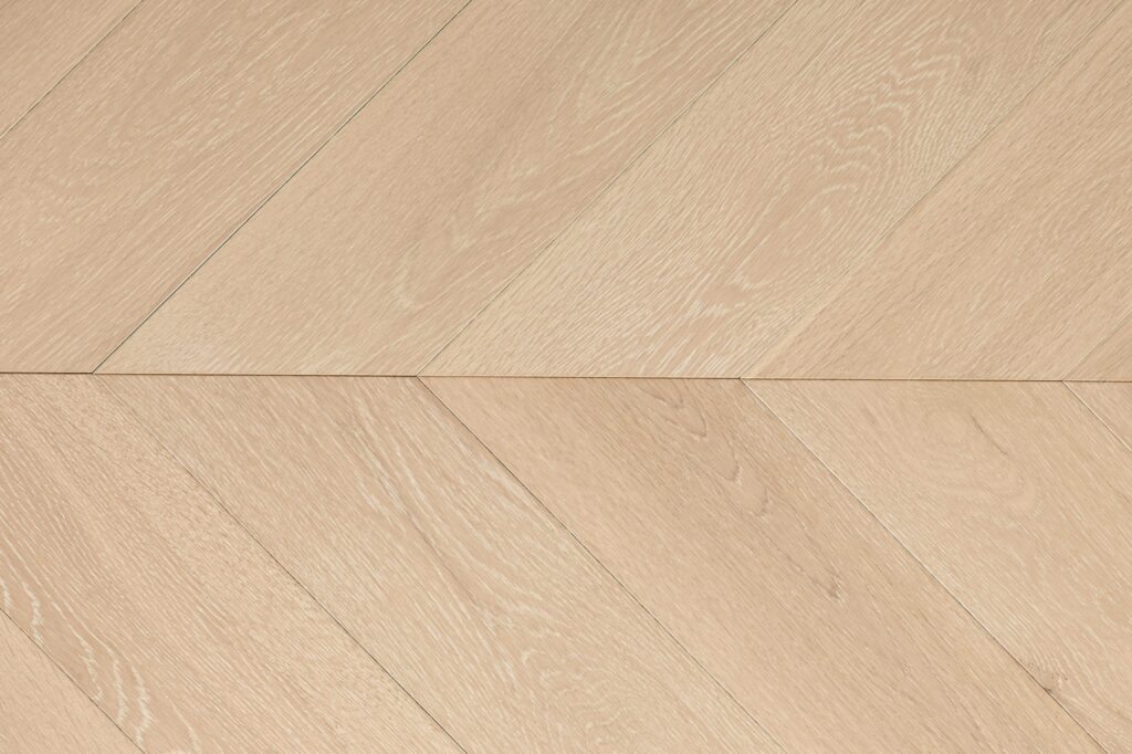Ablux European Oak, Toronto (French tree, varnish)
