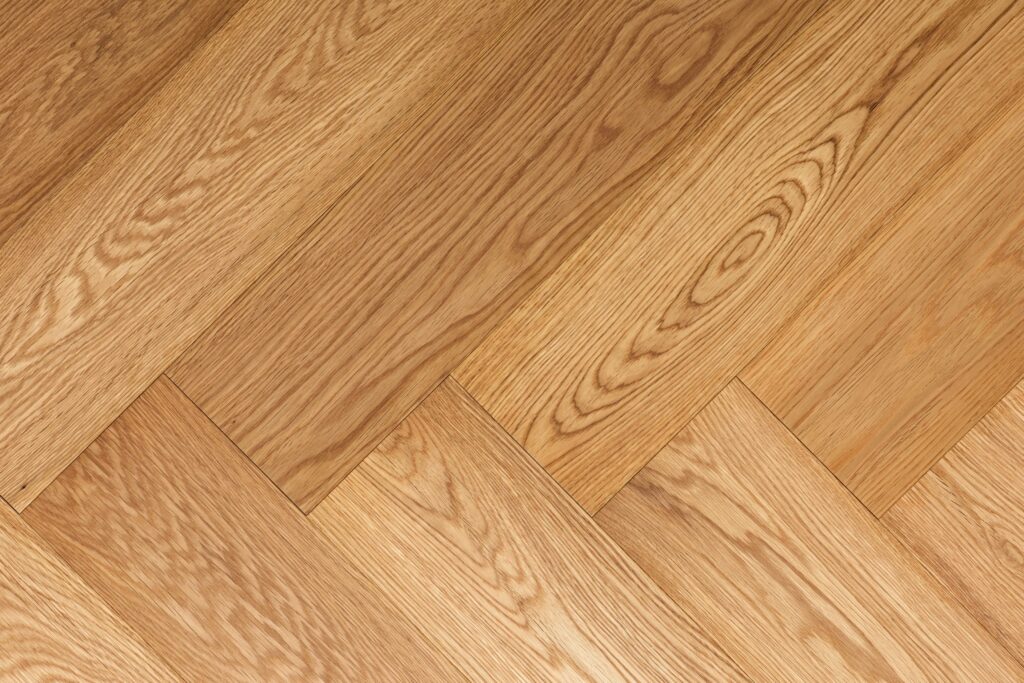 Ablux European Oak, Ottawa (English tree, oil)